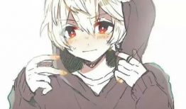 动漫男子,魅力四溢的青春风采